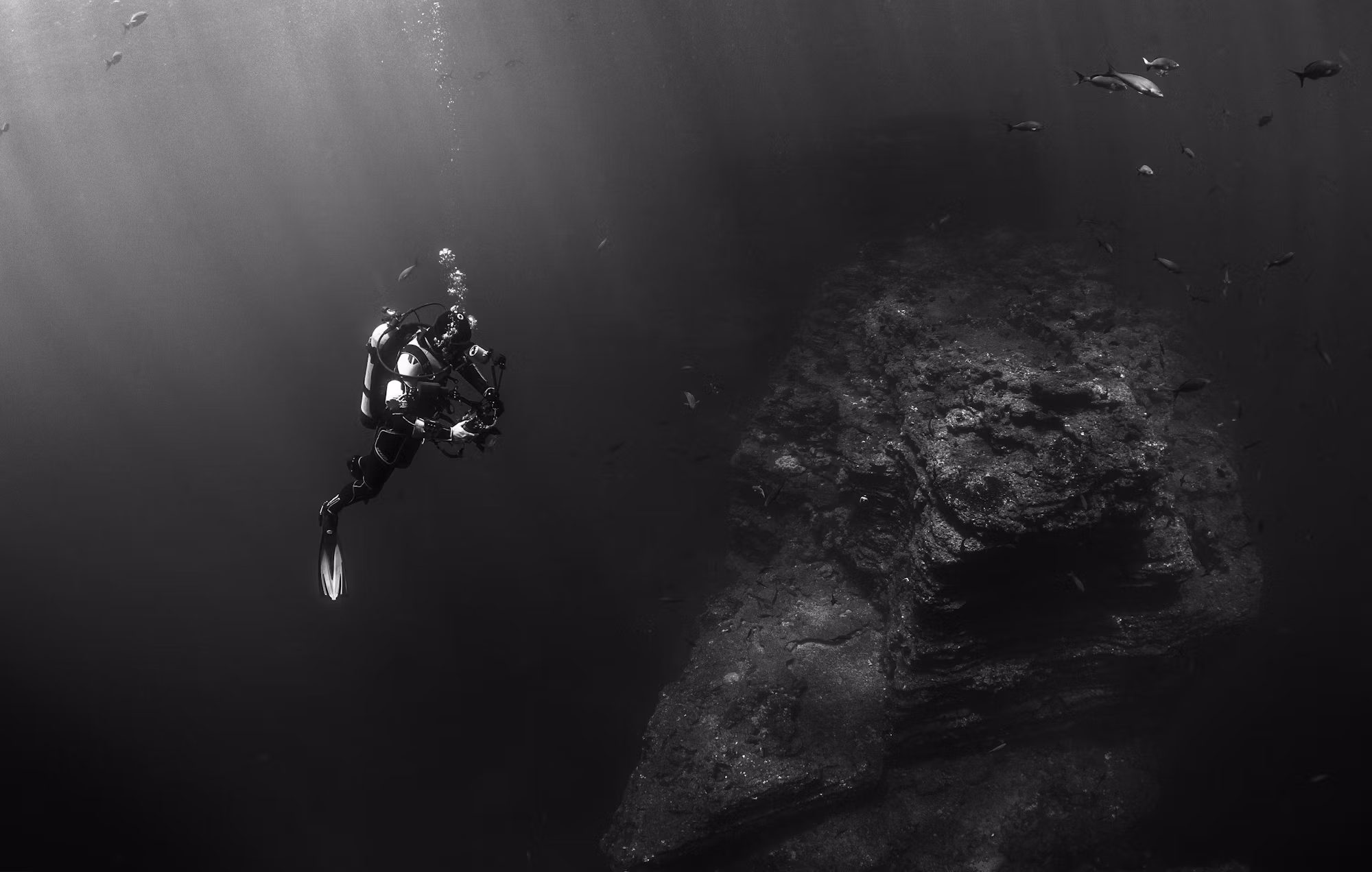 Beneath the Waves: The Thrilling World of Diving Adventures